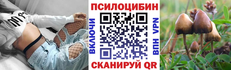 Галлюциногенные грибы MAGIC MUSHROOMS  KRAKEN ONION  Яранск  как найти  